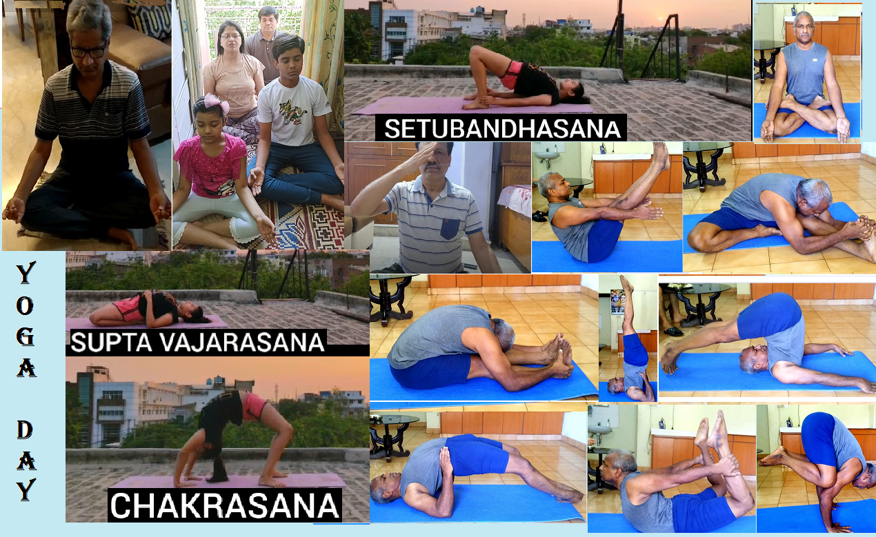 Celebration of International Yoga Day - 2020